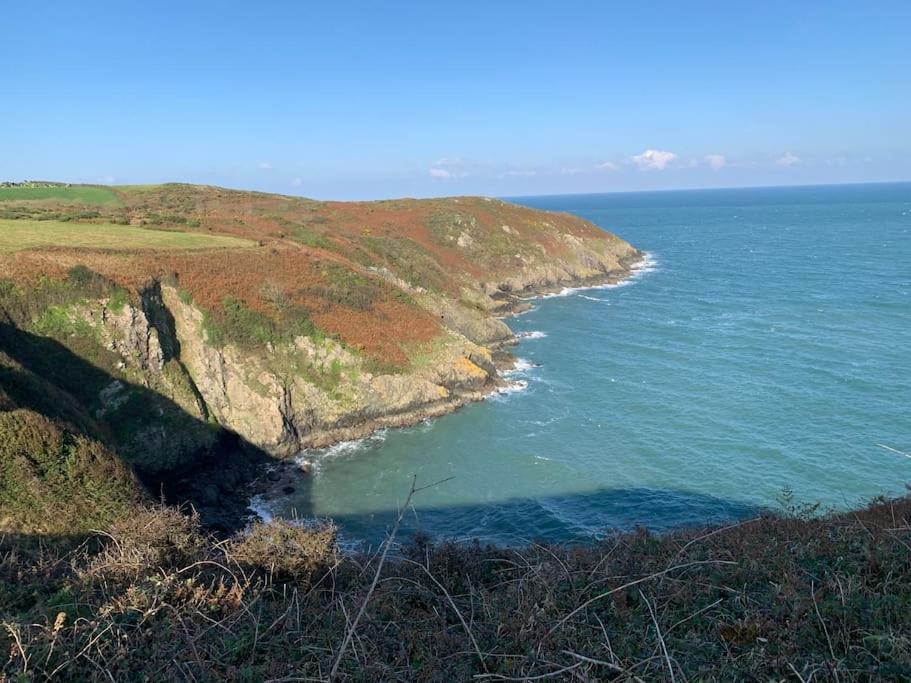 Trefechan Wen Barn Llanwnda  Zewnętrze zdjęcie