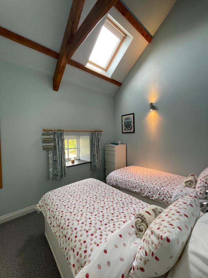 Trefechan Wen Barn Llanwnda  Zewnętrze zdjęcie