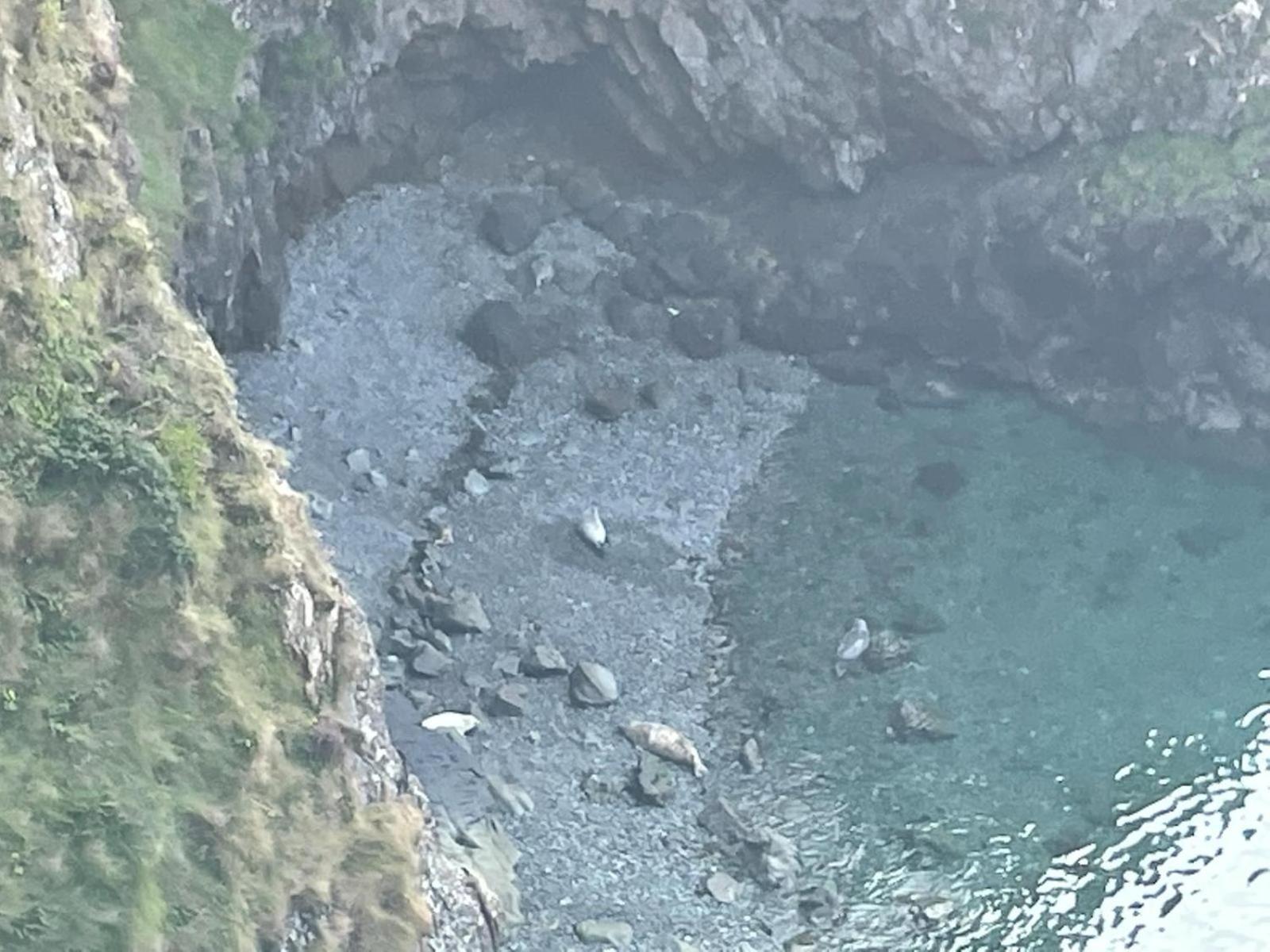 Trefechan Wen Barn Llanwnda  Zewnętrze zdjęcie